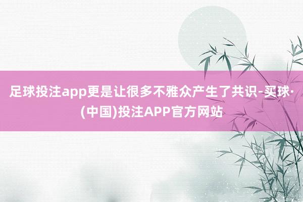 足球投注app更是让很多不雅众产生了共识-买球·(中国)投注APP官方网站