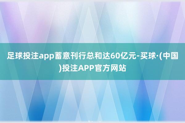 足球投注app蓄意刊行总和达60亿元-买球·(中国)投注APP官方网站