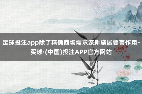 足球投注app除了精确商场需求深耕施展要害作用-买球·(中国)投注APP官方网站