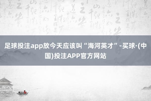 足球投注app放今天应该叫“海河英才”-买球·(中国)投注APP官方网站