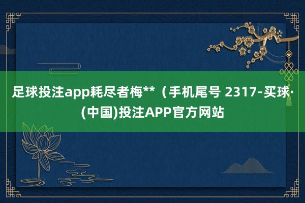 足球投注app耗尽者梅**（手机尾号 2317-买球·(中国)投注APP官方网站