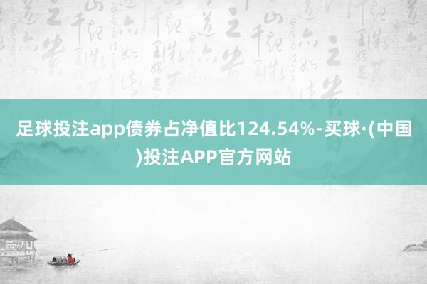 足球投注app债券占净值比124.54%-买球·(中国)投注APP官方网站