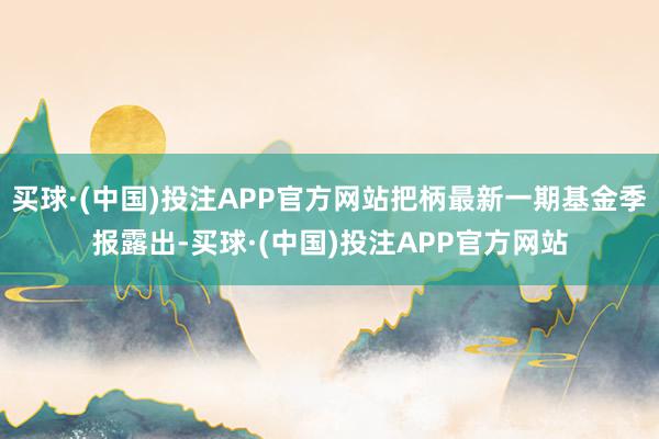 买球·(中国)投注APP官方网站把柄最新一期基金季报露出-买球·(中国)投注APP官方网站