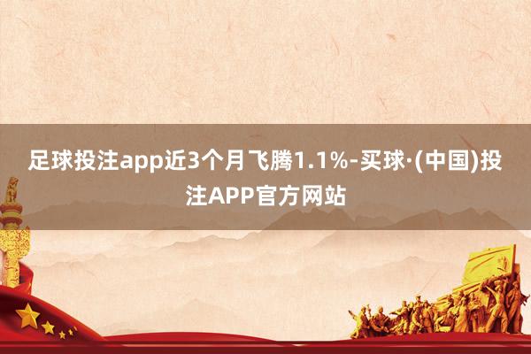 足球投注app近3个月飞腾1.1%-买球·(中国)投注APP官方网站