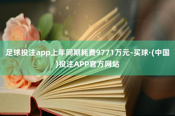 足球投注app上年同期耗费9771万元-买球·(中国)投注APP官方网站