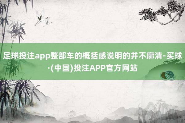 足球投注app整部车的概括感说明的并不廓清-买球·(中国)投注APP官方网站