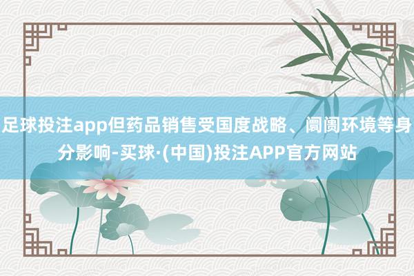 足球投注app但药品销售受国度战略、阛阓环境等身分影响-买球·(中国)投注APP官方网站