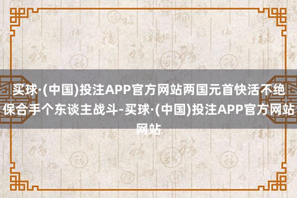 买球·(中国)投注APP官方网站两国元首快活不绝保合手个东谈主战斗-买球·(中国)投注APP官方网站