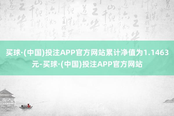 买球·(中国)投注APP官方网站累计净值为1.1463元-买球·(中国)投注APP官方网站