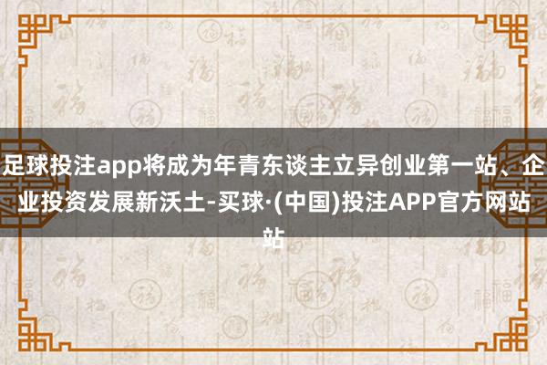 足球投注app将成为年青东谈主立异创业第一站、企业投资发展新沃土-买球·(中国)投注APP官方网站