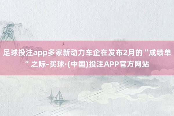 足球投注app多家新动力车企在发布2月的“成绩单”之际-买球·(中国)投注APP官方网站